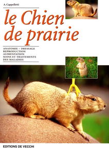 Le chien de prairie