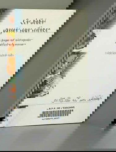 Ces bébés passés sous silence : à propos des interruptions médicales de grossesse