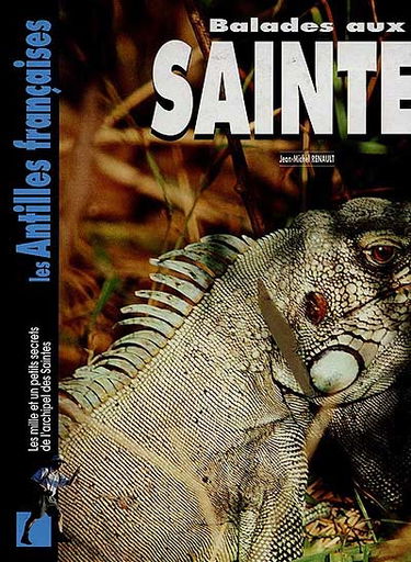 Balades aux Saintes : les mille et un petits secrets de l'archipel des Saintes