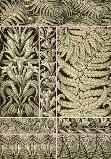 Fantaisies & ornements : planches décoratives d'Anton Seder