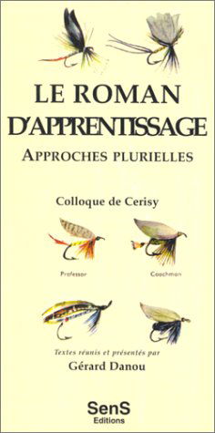 Le roman d'apprentissage. Approches plurielles