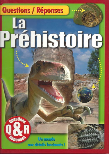 La Préhistoire : Un monde aux détails fascinants (Questions-réponses)
