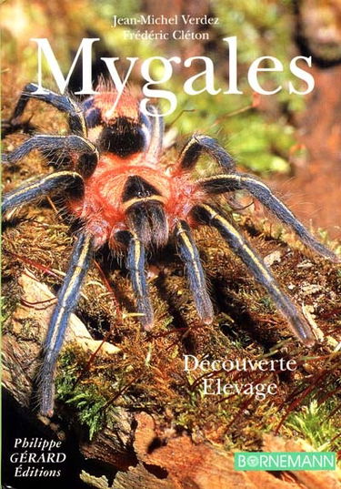 Mygales : élevage et découverte