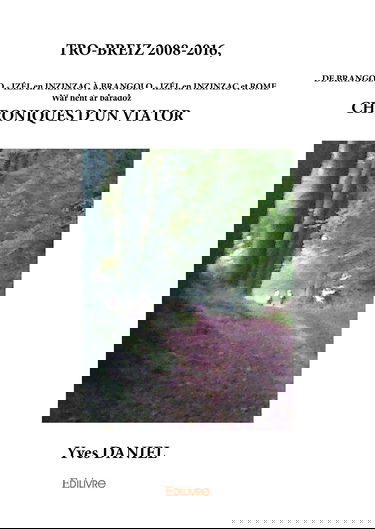 Tro-Breiz 2008-2016, chroniques d’un viator