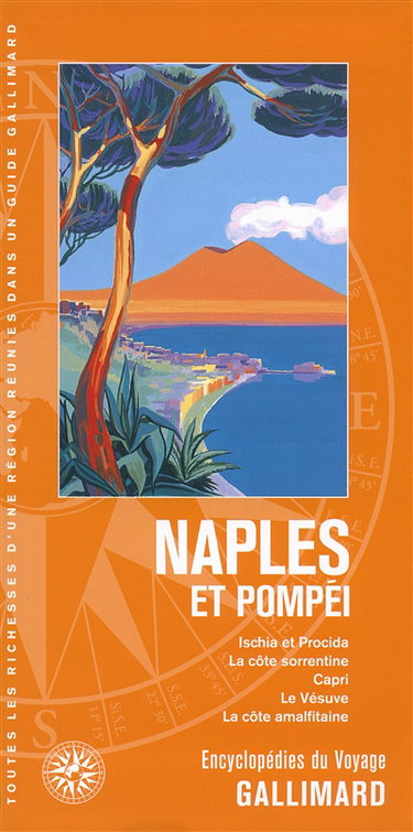 Couverture de Naples et Pompéi : Ischia et Procida, la Côte sorrentine, Capri, le Vésuve, la Côte amalfitaine