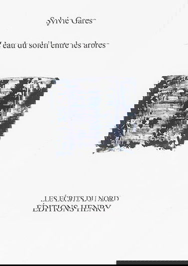 L'eau du soleil entre les arbres