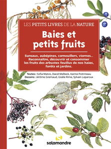 Baies et petits fruits : aubépines, sureaux, cornouillers, viornes... : reconnaître, découvrir et consommer ou non les fruits des arbustes feuillus de nos haies, forêts et jardins