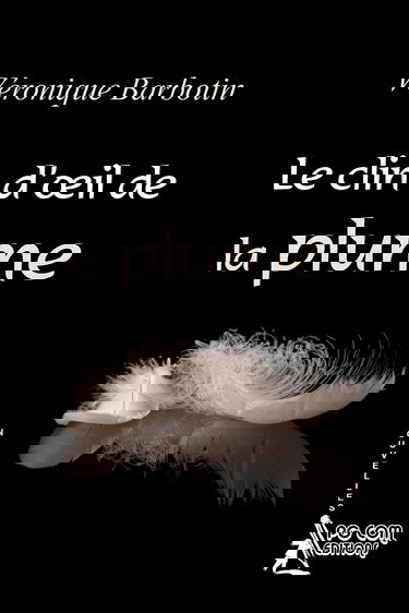 Le clin d'oeil de la plume