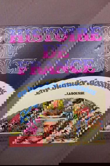 Histoire de France en bandes dessinées. Vol. 5. De Louis XIV à la Révolution