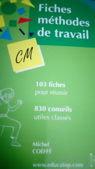 Fiches Methodes De Travail Pour Le Cm. 80 Fiches - 800 Conseils Utiles Classes