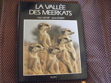 La Vallée des meerkats