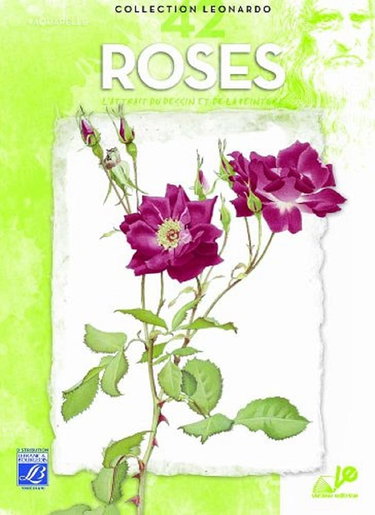 Couverture de Lefranc Bourgeois Album Léonardo N°42 Les Roses