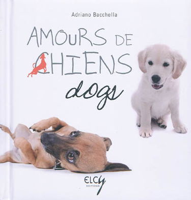 Amours de chiens. Dogs