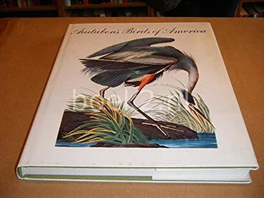 Couverture de Birds of America