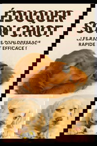 Eduquer son Chiot : Les Bases d'un Dressage Rapide et Efficace