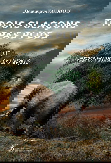 Trois glaçons pas plus et autres nouvelles d'Afrique