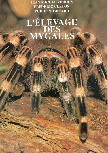 L'élevage des mygales