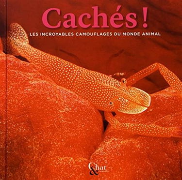 Cachés ! : les incroyables camouflages du monde animal