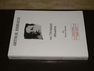 Arthur Rimbaud ou l'Eclatant désastre