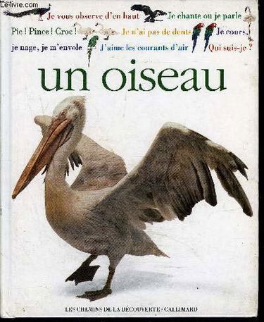 Qui suis-je ? : un oiseau