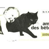 Amis des betes - les mystérieuses affinités entre l'enfant et l'animal