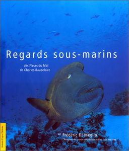 Regards sous-marins : des Fleurs du mal de Charles Baudelaire