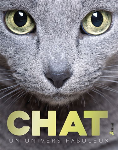 Chats : un univers fabuleux