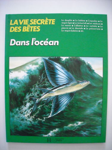 Dans l'océan