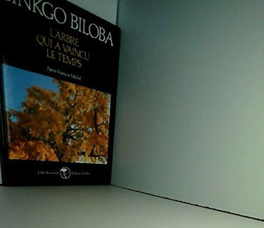 Ginkgo Biloba, l'arbre qui a vaincu le temps. Collection : L'art du vivant.