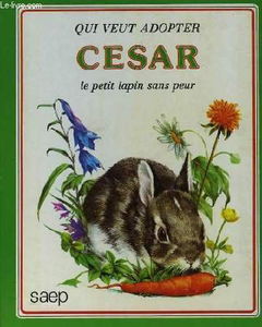 César, le petit lapin sans peur