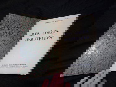 Mes idées politiques