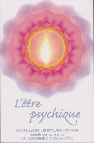 Couverture de L'etre psychique