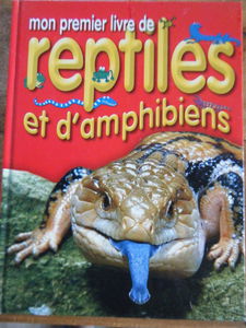 Mon premier livre de reptiles et d'amphibiens