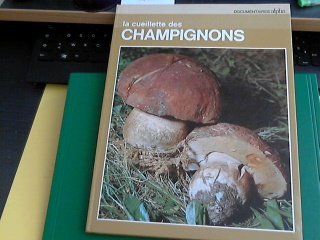 Couverture de La cueillette des champignons. par Fanelli Annalaura Tosco Uberto