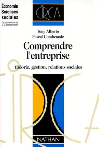 Comprendre l'entreprise : théorie, gestion, relations sociales