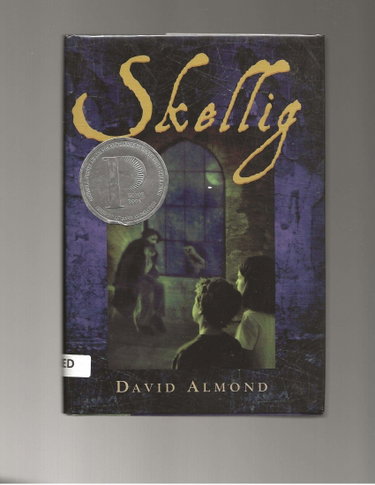Couverture de Skellig