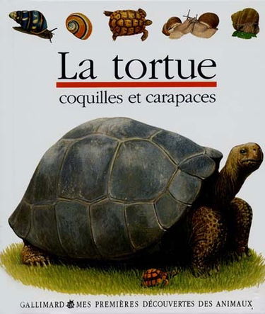 La tortue