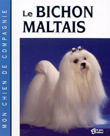 Bichon maltais
