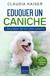 Eduquer un caniche: L'éducation de ton chiot caniche