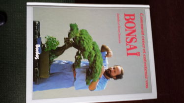 Comment créer et entretenir vos bonsaï