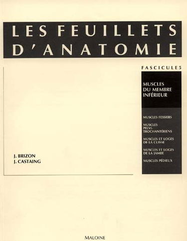 Les Feuillets d'anatomie : pour la préparation des concours hospitaliers et des examens de la Faculté de médecine. Vol. 5. Muscles du membre inférieur