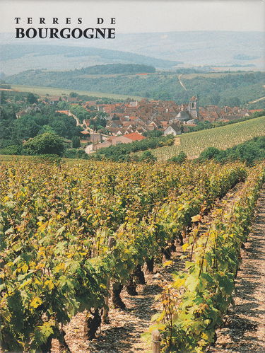 Terres de Bourgogne