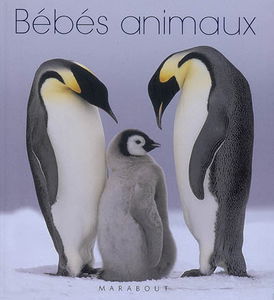 Bébés animaux