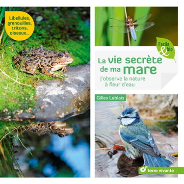 La vie secrète de ma mare : j'observe la nature à fleur d'eau