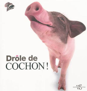 Drôle de cochon !