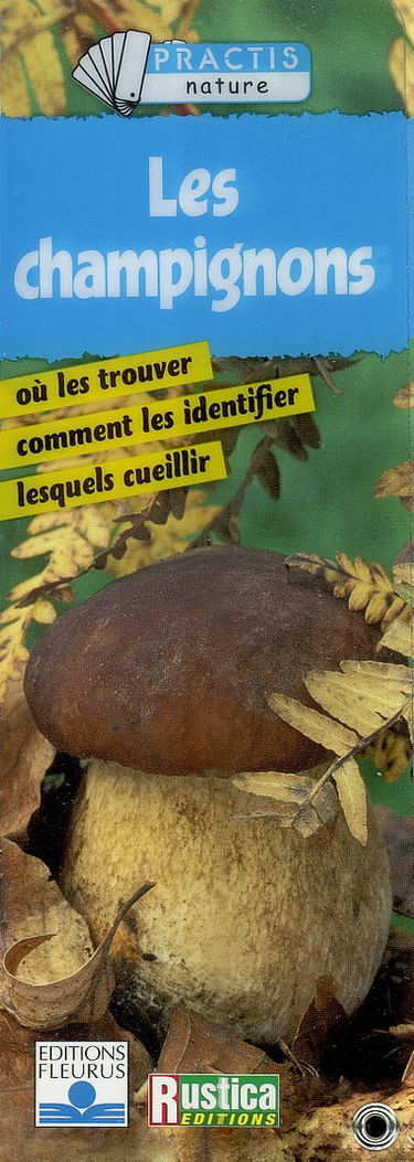 Les champignons : où les trouver, comment les identifier, lesquels cueillir