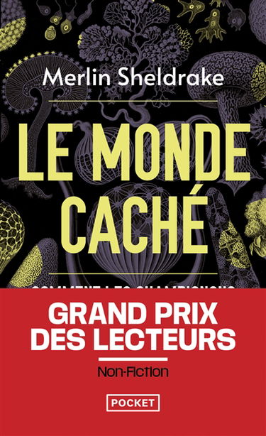 Le monde caché : comment les champignons façonnent notre monde et influencent nos vies