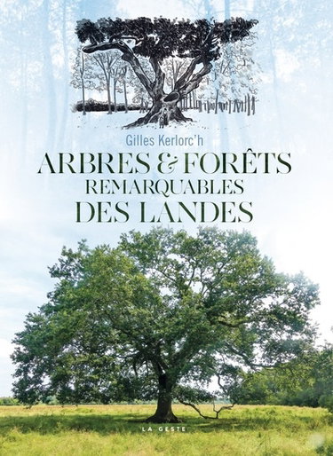 Arbres & forêts remarquables des Landes