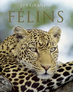 Les grands félins