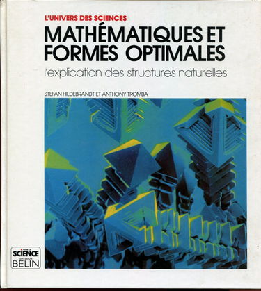 Formes optimales et mathématiques